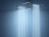 AquaSurge Pro Power Shower