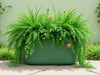 Hose Oasis Planter