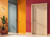 Create a vibrant image showcasing 'Vibrant Shield: The Bold Home Door Collection', featuring striking colors and durability., vector, best quality, masterpiece