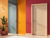 Vibrant Shield: The Bold Home Door Collection