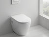 The Contemporary Wall-Flush Toilet