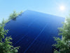 SunSaver Polycrystalline Panels