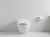 Modern Comfort Toilet Trim Ensemble