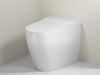 EcoSleek One-Piece Toilet