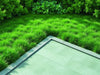 Chic Boundary - Modern Garden Edging