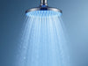 SpaCascade Handheld Shower Head