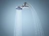 AquaFlex Handheld Showerhead