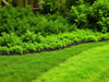 Elegant Edge - Decorative Garden Edging