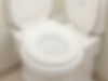 SereneTouch Deluxe Toilet Seat Cover