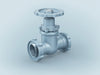 EcoHold Gate Valve