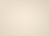 ThermalSecure Heat Resistant Plaster