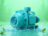 EcoFlow Positive Displacement Pump