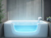 AquaPulse Body Jets