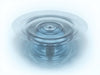 AquaShield Trap Master