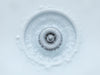 AquaShield Drain Guard