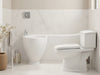 Revive & Shine Toilet Trim Accents