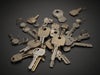 Unlock Your Potential: Premium Key Blanks