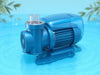 WaveRider 3600 Pool Pump