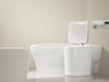 SprayEase Bidet Faucet