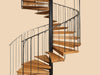 Whirlwind Ascend Spiral Staircase: modern, elegant design, twisting steel, hardwood treads, indoor outdoor focal point., vector, best quality, masterpiece