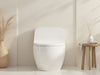 ZenConceal Toilet Tank Cover