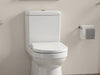 Flush Forward: Front Mount Toilet Tank Lever