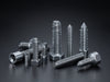 "Ultimate Torque Socket Screws: powerful, precision-engineered metal fasteners for maximum performance and professional reliability.", vector, best quality, masterpiece