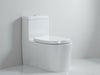 HydroSmart Gravity-Fed Toilet Tank